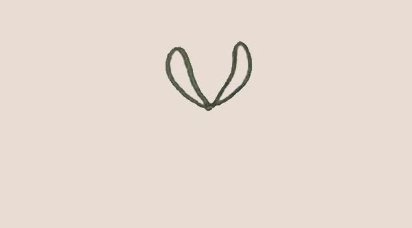 关于菊花的简笔画(关于菊花的简易画)