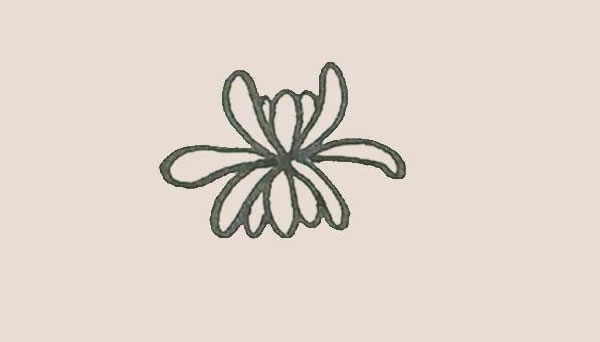 关于菊花的简笔画