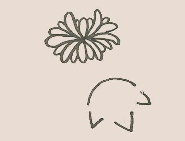 关于菊花的简笔画