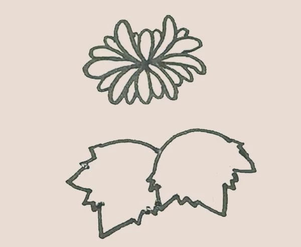 关于菊花的简笔画