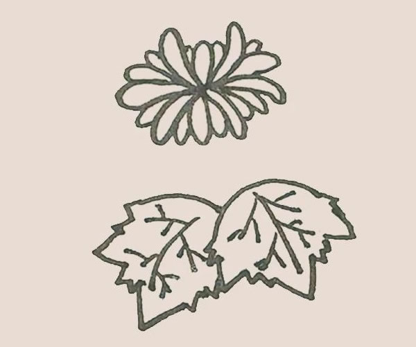 关于菊花的简笔画