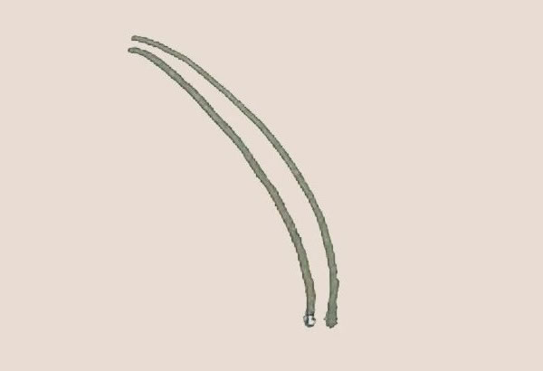 铃兰花简笔画步骤(铃兰花手绘)