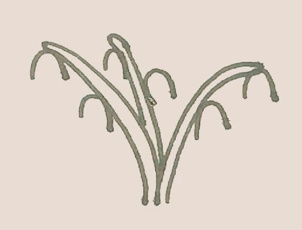 铃兰花简笔画步骤