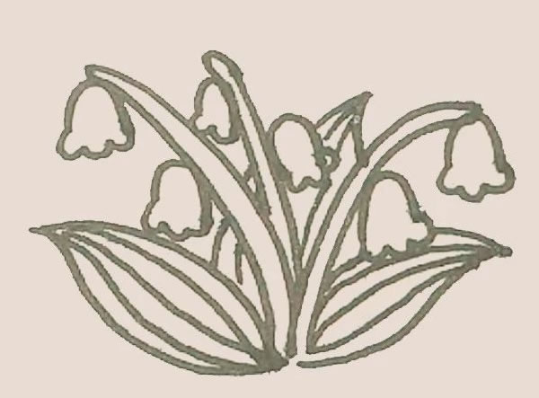 铃兰花简笔画步骤