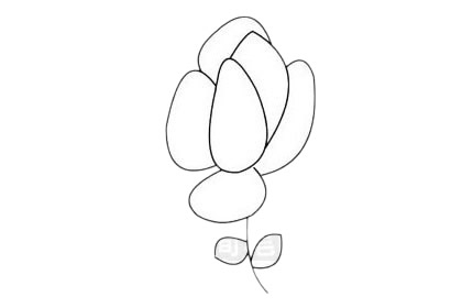 月季花简笔画图片大全