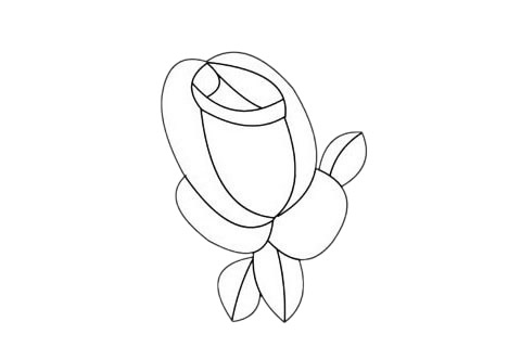 月季花简笔画图片大全