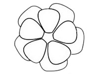 月季花简笔画步骤