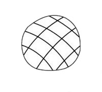 向日葵简单的画法