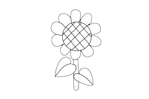 向日葵简笔画图片大全(向日葵简笔画图片大全高级)