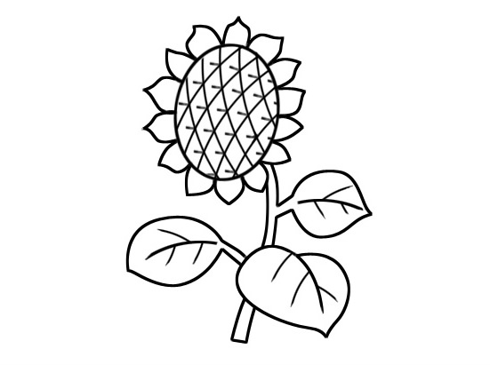 向日葵儿童简笔画(儿童创意绘画1向日葵简笔画)