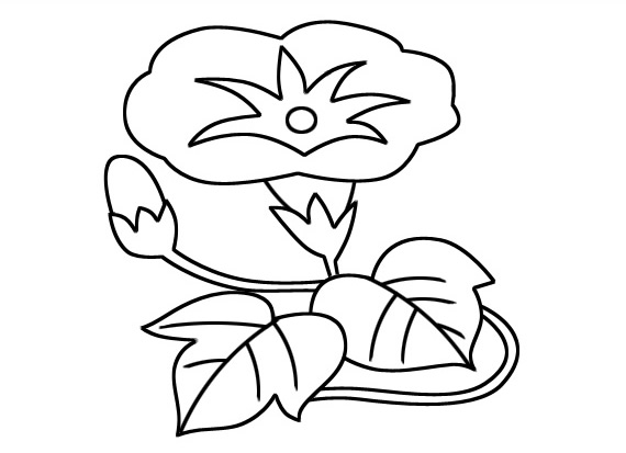 牵牛花儿童简笔画(牵牛花简笔画 简单漂亮)