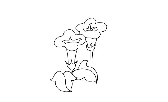 非常简单的牵牛花简笔画