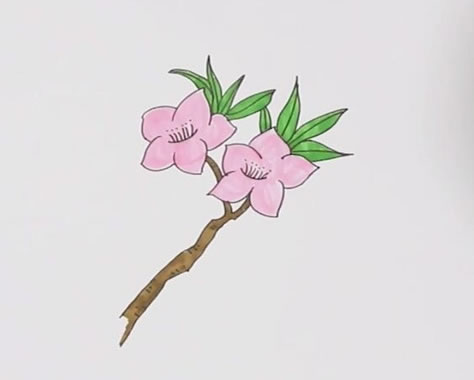 粉色桃花简笔画