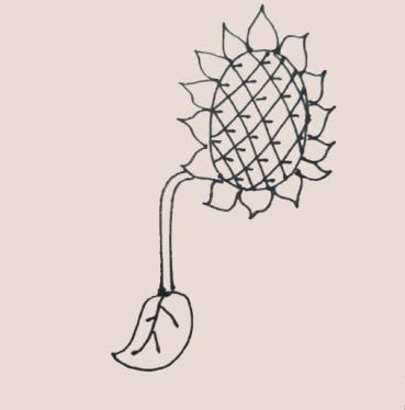 简单又漂亮的向日葵简笔画