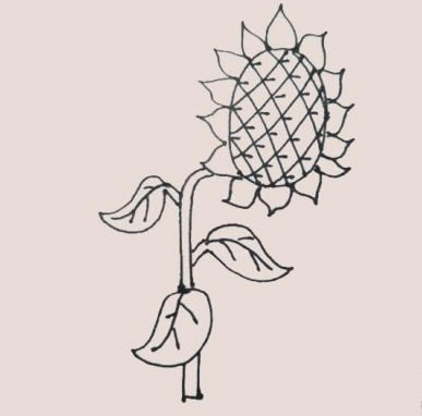 简单又漂亮的向日葵简笔画
