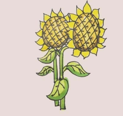 简单又漂亮的向日葵简笔画