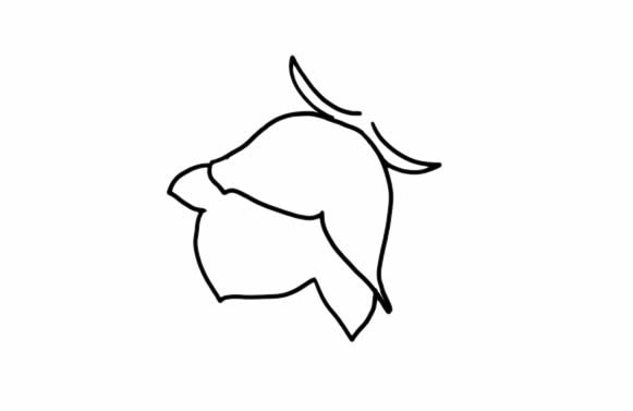 风铃草简笔画步骤