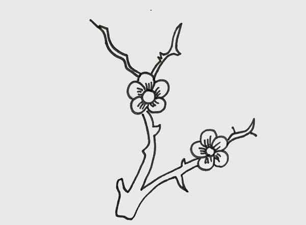 树枝上漂亮的梅花简笔画