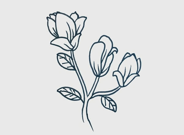 玉兰花简笔画步骤