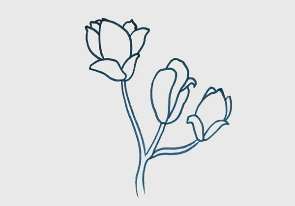 玉兰花简笔画步骤