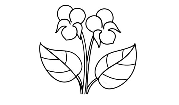 紫罗兰盆栽简笔画