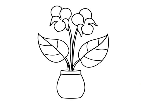 紫罗兰盆栽简笔画