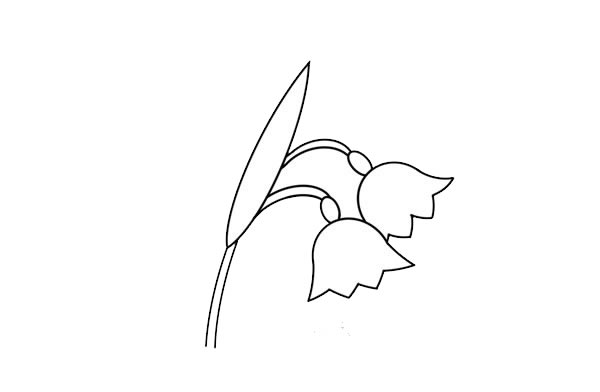 非常漂亮的铃兰花简笔画
