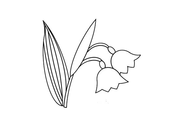 非常漂亮的铃兰花简笔画