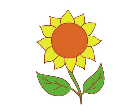卡通上色的向日葵简笔画