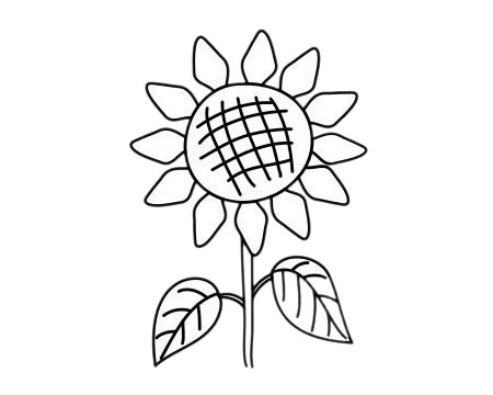 简单的向日葵简笔画