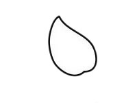 马蹄莲怎么画 马蹄莲简笔画步骤