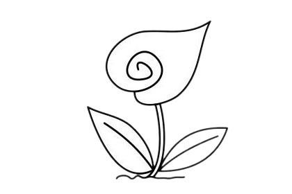 马蹄莲怎么画 马蹄莲简笔画步骤