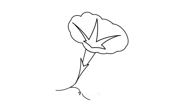 漂亮的牵牛花简笔画
