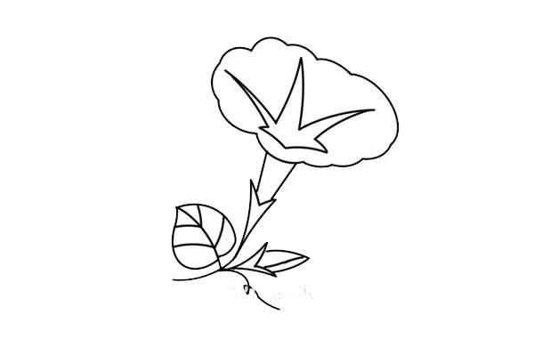 漂亮的牵牛花简笔画
