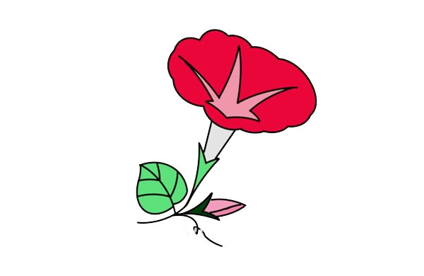 漂亮的牵牛花简笔画
