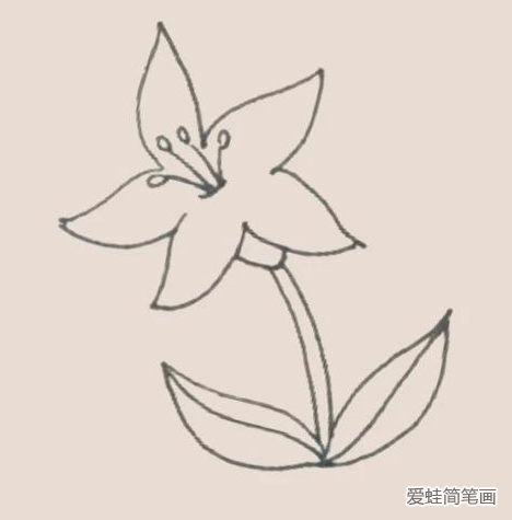 百合花简笔画
