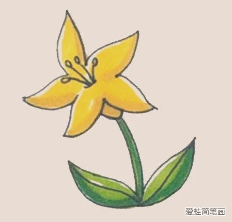 百合花简笔画