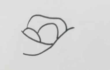 一朵盛开的玫瑰花简笔画教程(一朵盛开的玫瑰花预示了梦幻的顶点)