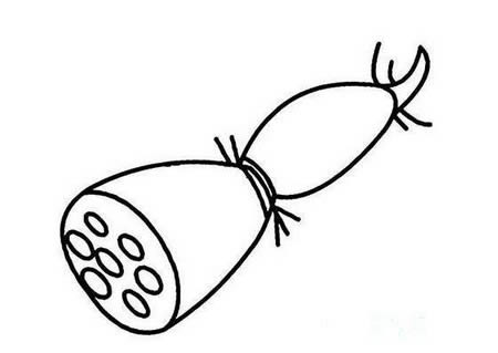 莲藕简笔画图片大全（9张）(简笔画莲藕的画法)