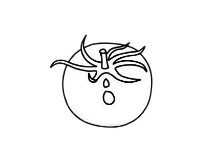 五款西红柿儿童简笔画