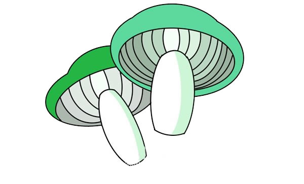 可爱的伞菇简笔画