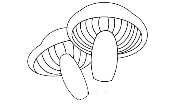 可爱的伞菇简笔画