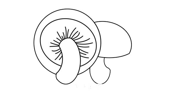 蘑菇怎么画简单又好看