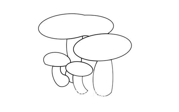 乳牛肝菌简笔画步骤