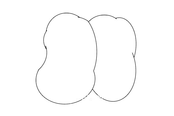 两个卡通土豆简笔画