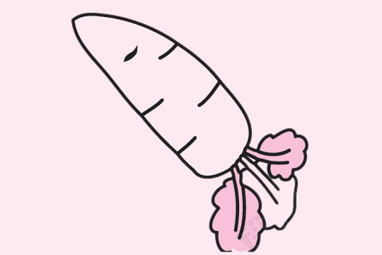五张胡萝卜简笔画大全(胡萝卜简笔画多个)