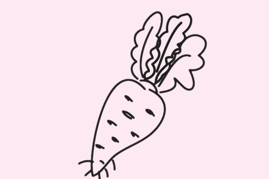 五张胡萝卜简笔画大全