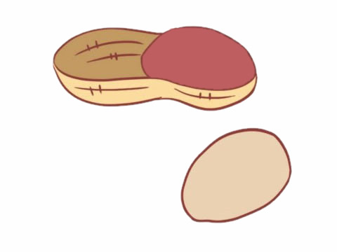 剥开的花生简笔画(剥花生怎么画)