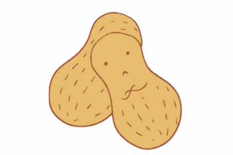 卡通花生简笔画(花生的卡通简笔画)