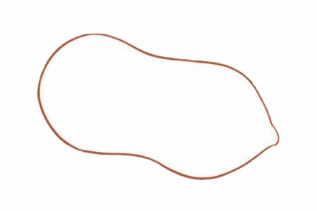 花生简笔画步骤(花生简笔画彩色可爱)